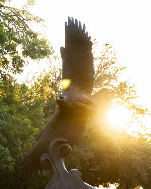 Image post by @unt on Instagram