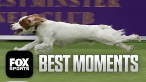 Video post by @foxsports on YouTube