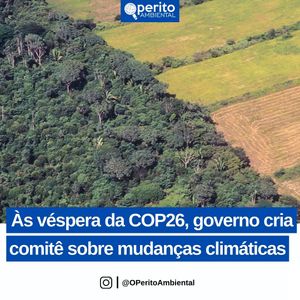 Image post by @operitoambiental on Instagram