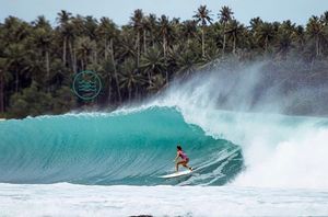 Image post by @thesalty.club on Instagram