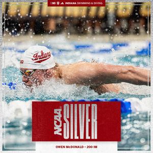 Image post by @indianaswimdive on Instagram