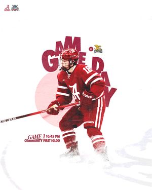 Image post by @alabamahockeyd2 on Instagram