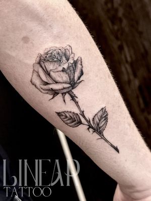 Image post by @christina.lineartattoo on Instagram