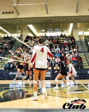 Image post by @semovb on Instagram