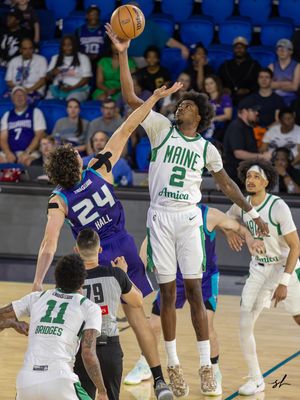 Image post by @serenelensphoto on Instagram