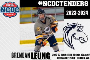 Image post by @usphlhockey on Instagram