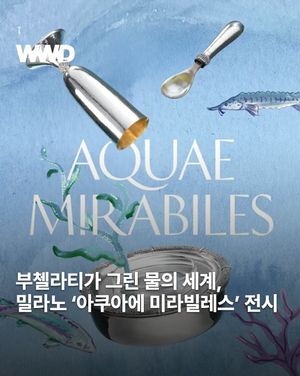 Image post by @wwdkorea on Instagram