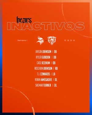 Image post by @Bears_ES on Twitter