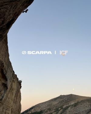 Image post by @scarpana on Instagram