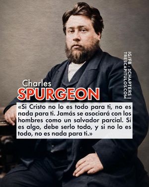 Image post by @3chapters on Instagram