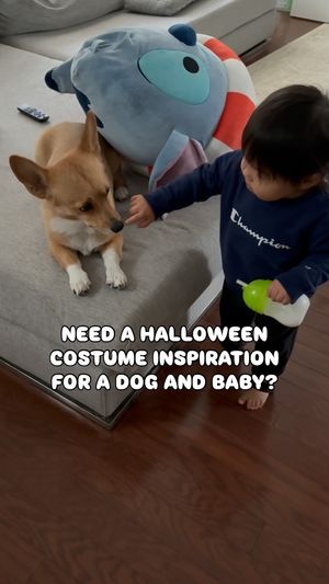 Video post by @aircorg on Instagram
