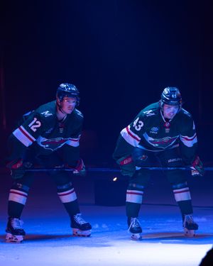 Image post by @minnesotawild on Instagram