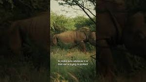 Video post by @landroverusa on YouTube