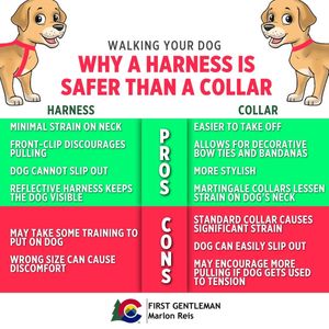 Image post by @firstgentmarlonreis on Instagram