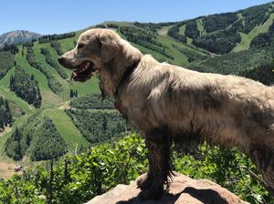 Image post by @pcski on Instagram