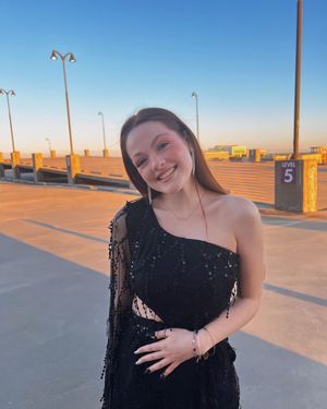 Image post by @_laurengay on Instagram