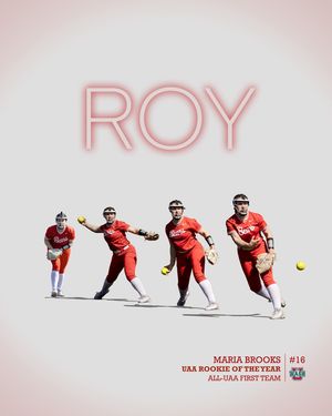 Image post by @washusoftball on Instagram