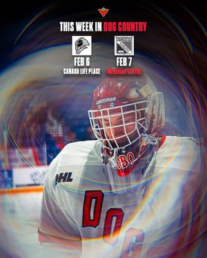 Image post by @ohlicedogs on Instagram