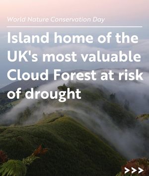 Image post by @rspb on Instagram