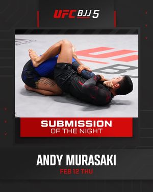 Image post by @ufcbjjofficial on Facebook