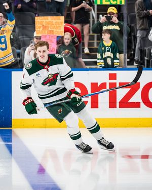 Image post by @minnesotawild on Instagram