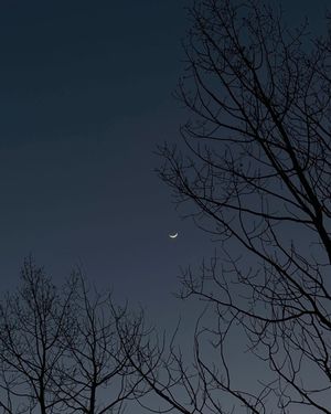 Image post by @shotbycristan on Instagram