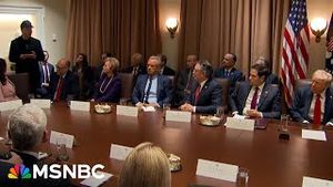Video post by @msnbc on YouTube