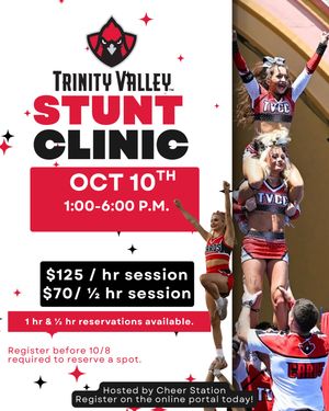 Image post by @cheer_station on Instagram