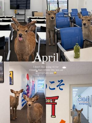 Video post by @myachuntao on TikTok