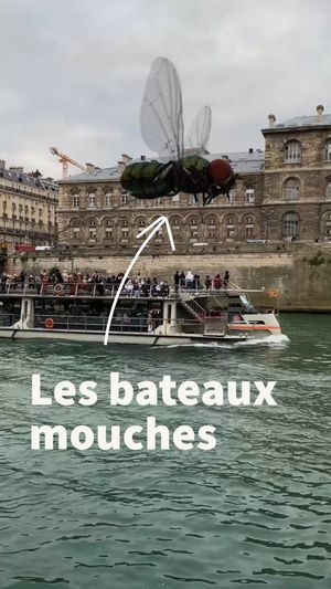 Video post by @elouen_la_baleine on Instagram