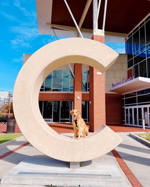 Image post by @eastcarolinauniv on Instagram