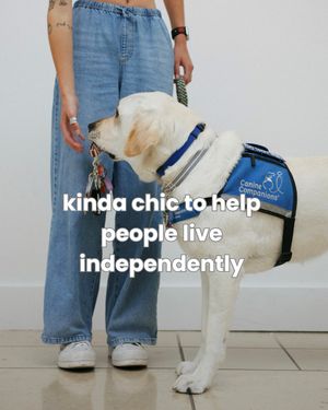 Image post by @canineorg on Instagram