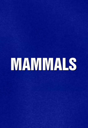Video post by @jeopardy on TikTok
