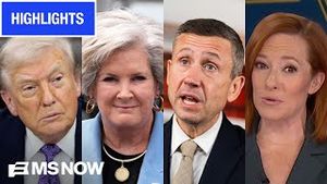 Video post by @msnbc on YouTube