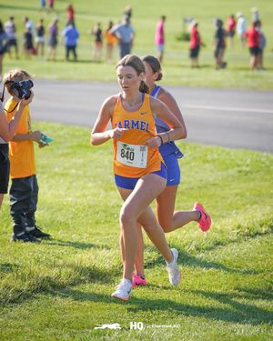 Image post by @carmelgreyhoundsxc on Instagram