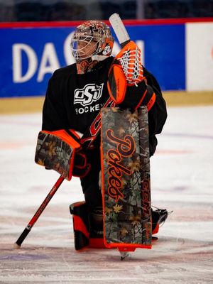 Image post by @goaliegearnerd on Instagram