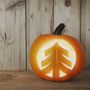 Image post by @alpinebank on Instagram