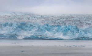 Image post by @chandlerwebercreative on Instagram