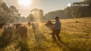 Image post by @farmcredit on Twitter