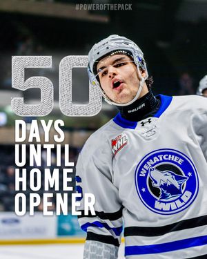 Image post by @whlwild_ on Instagram