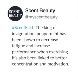 Image post by @scentbeauty on Instagram
