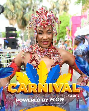Image post by @jamaicagleaner on Instagram