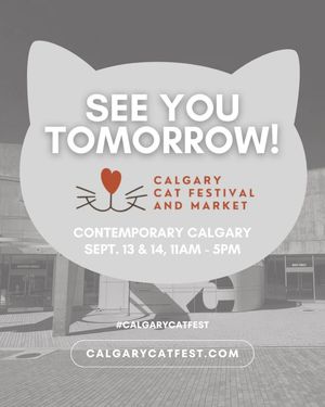 Image post by @cmcalgary on Instagram