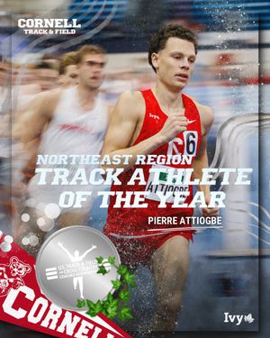 Image post by @cornelltfxc on Instagram