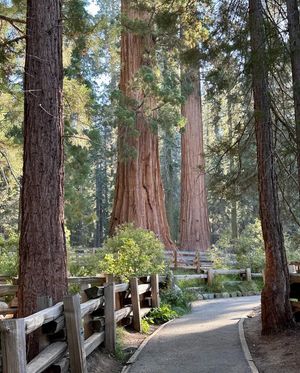 Image post by @nationalparkscollective on Instagram