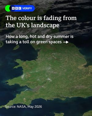 Image post by @bbcnews on Instagram