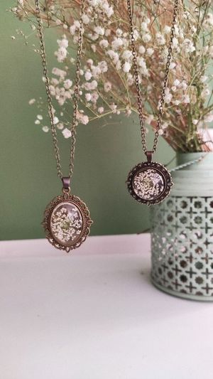 Video post by @leafyaffair on Instagram