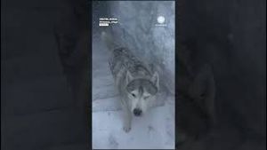 Video post by @accuweather on YouTube