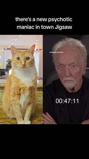 Video post by @kurttocci on TikTok