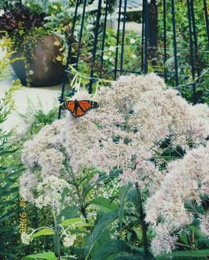 Image post by @psuoutreach on Instagram